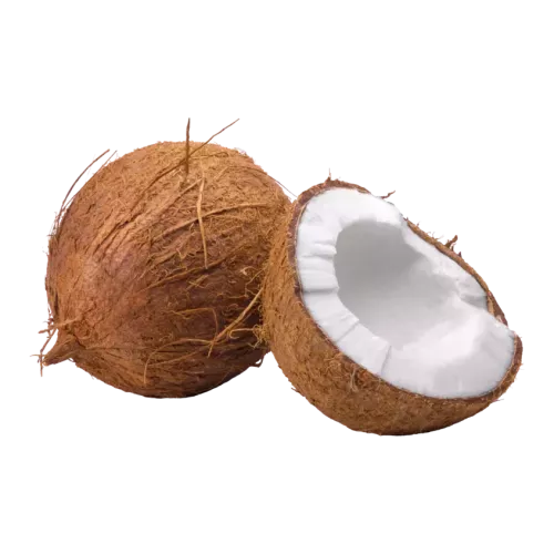 Noix de coco