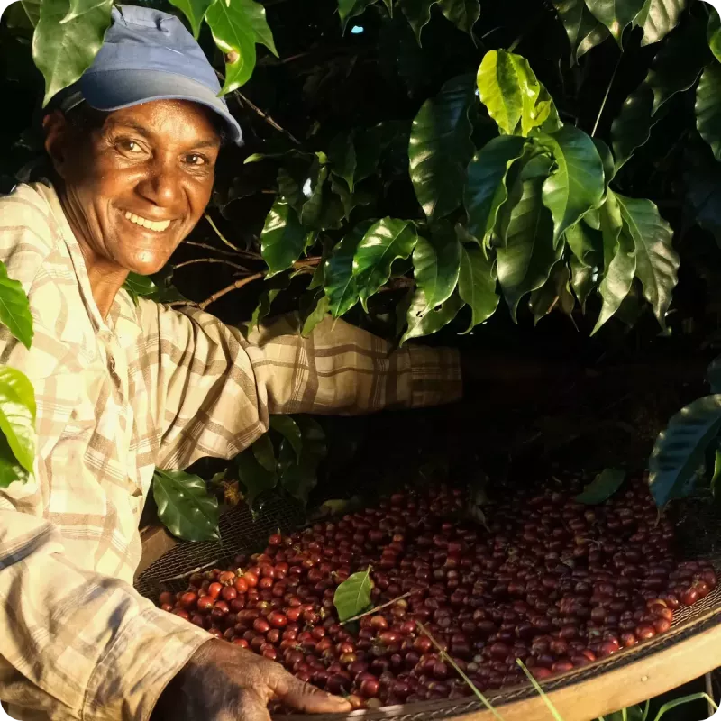 Café en Grains Colombie